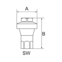 RIEGLER Inline Druckregler für Wasser-/Druckluftanwendungen, G 1/4, 1 bar_1
