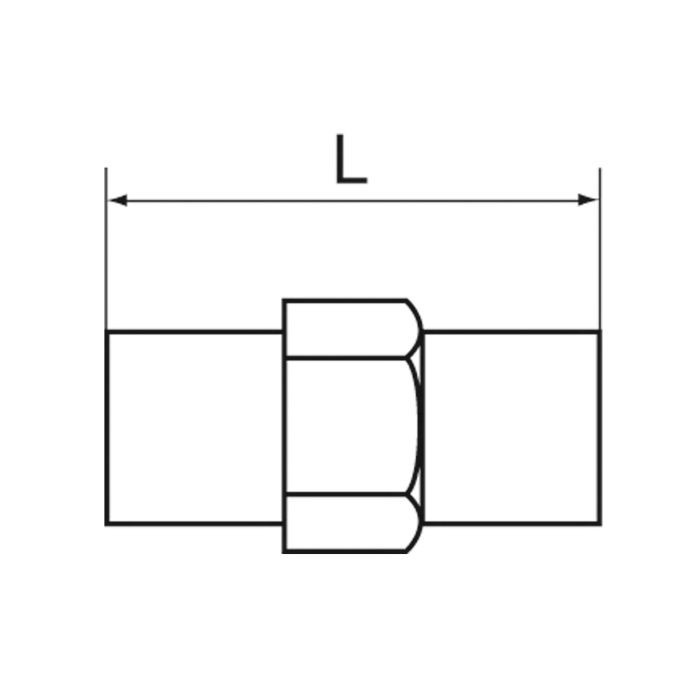 RIEGLER Mini-Druckregler, 2 x G 1/4 AG, 2 bar_1