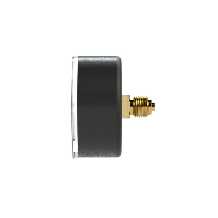 RIEGLER Standardmano, KS-G., G 1/4 hinten zentrisch, 0 - 40,0 bar, Ø 50_2
