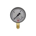 RIEGLER Standardmanometer, Stahlblechgeh., G 1/4 unten, 0-10,0 bar, Ø 63_1