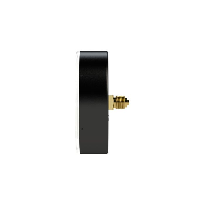 RIEGLER Standardmano., Kunststoff, G 1/4 hinten zentr., 0-16,0 bar, Ø 80_2