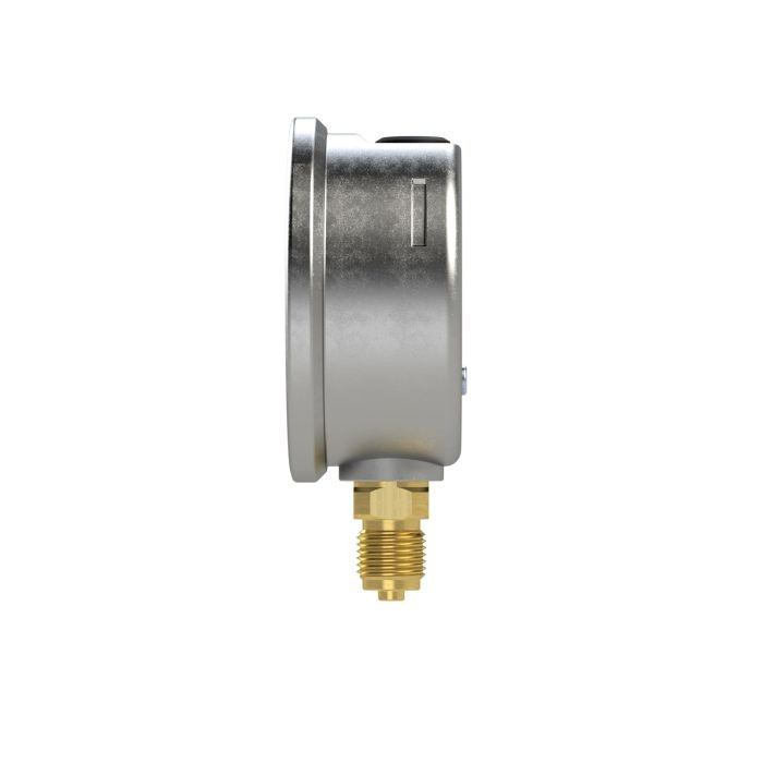 RIEGLER Glyzerinmanometer, CrNi-Stahl, G 1/4 unten, 0 - 60,0 bar, Ø 63_2