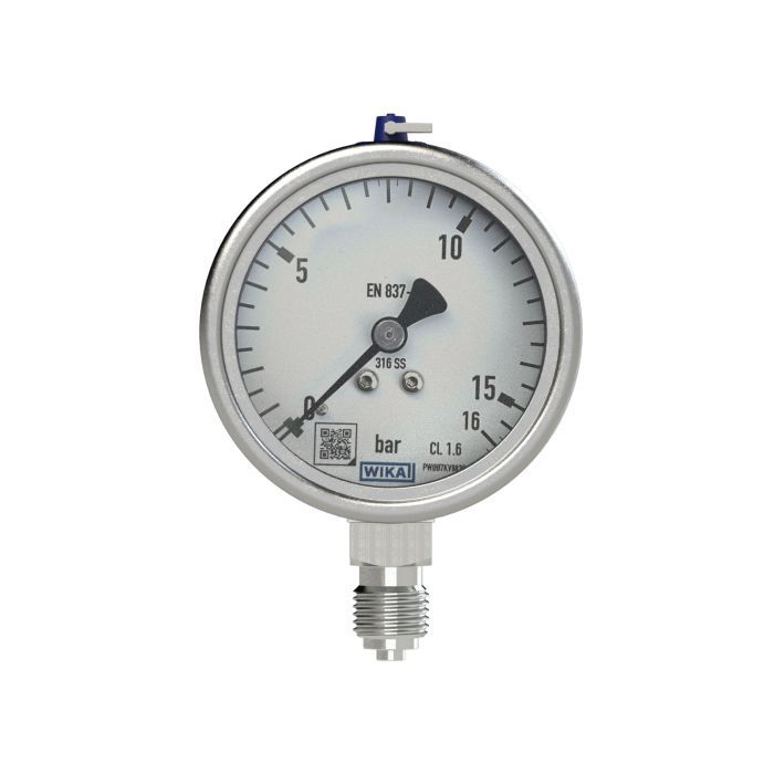 RIEGLER Manometer, CrNi-Stahl, G 1/2 radial unten, 0 - 6,0 bar, Ø 100_1