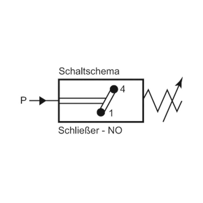 RIEGLER Druckschalter, Standard, Stahl verz., G 1/4, 10-70 bar, Schließer_3