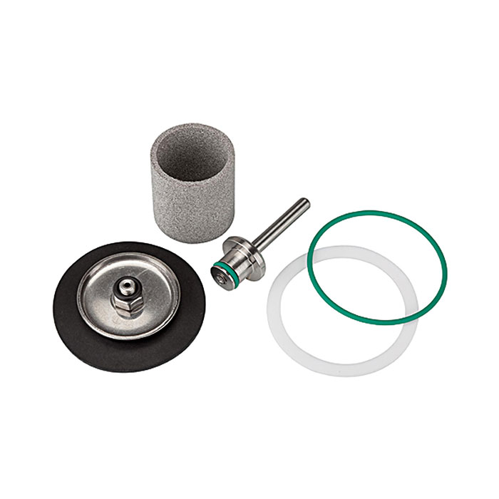 RIEGLER Wear part set for stainless steel filter regulator, 1.4404, G 1/4