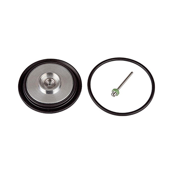 RIEGLER Wear part set: Diaphragm, Valve cone, Valve seat, O-ring
