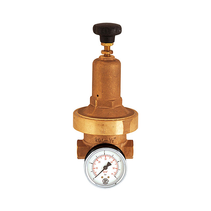 RIEGLER Pressure regulator DRV 250, Low pressure design, G 3/8, 0.2-2 bar