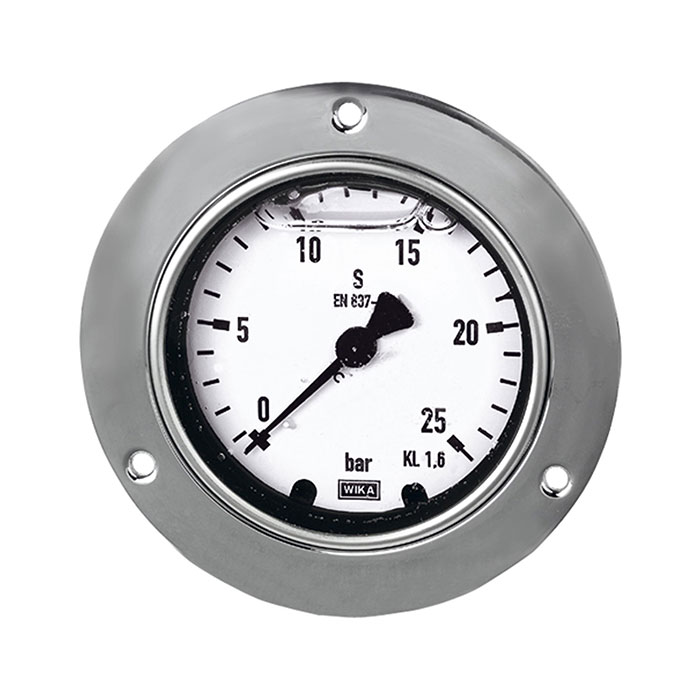 RIEGLER Glycerine pressure gauge, front ring, G 1/4, 0 - 6 bar, Ø 63