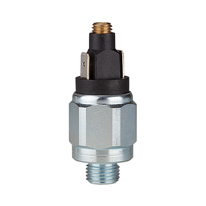 RIEGLER Pressure switch standard design, galvanised steel, 1 - 10 bar