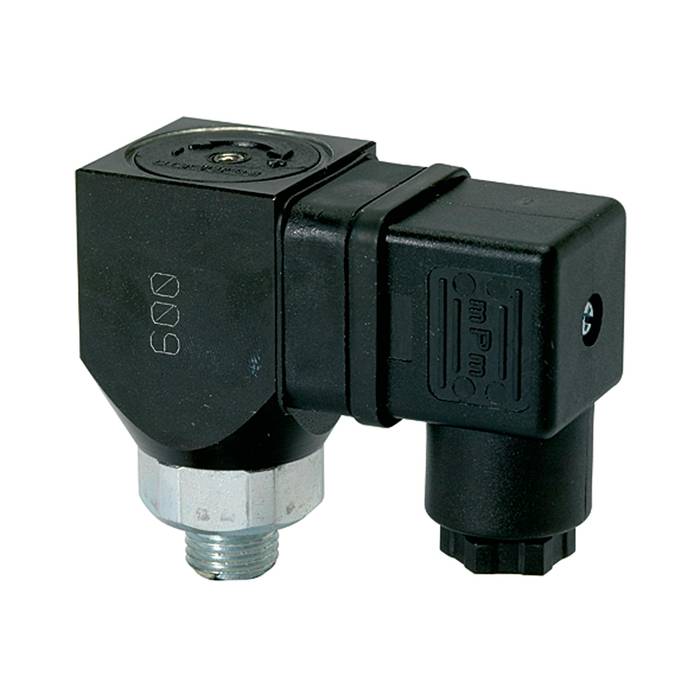 RIEGLER Druckschalter, Wechselkont. drehbar, Stahl ver., G 1/4, 1-10 bar