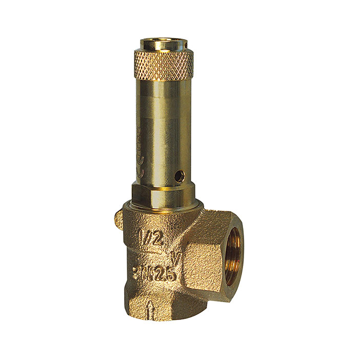 RIEGLER Corner safety valve, liquids, G 1 1/4, Trigger pressure 11 bar