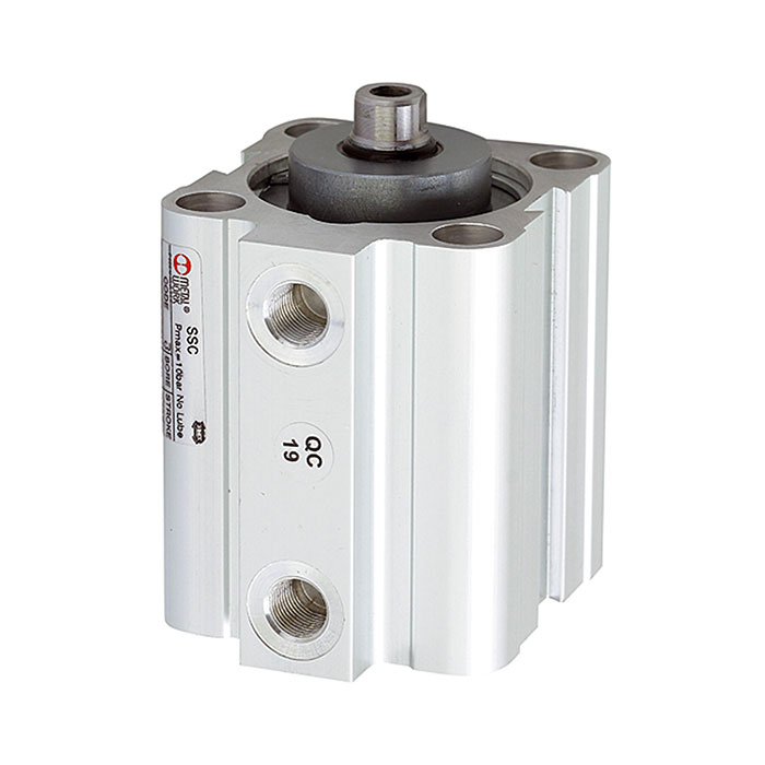 RIEGLER Short stroke cylinder single-acting, PistonØ 25, Stroke 10, G 1/8