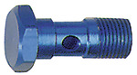 RIEGLER Hollow screw, G 1/4, AF 17, Aluminium