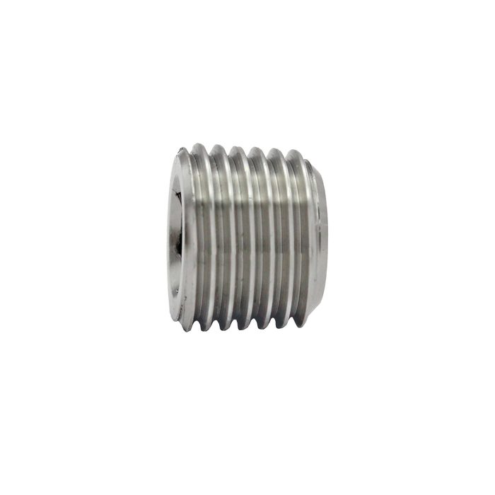 RIEGLER Verschlussschraube, Innensechskant, ohne Bund, R 1, ES 1.4571