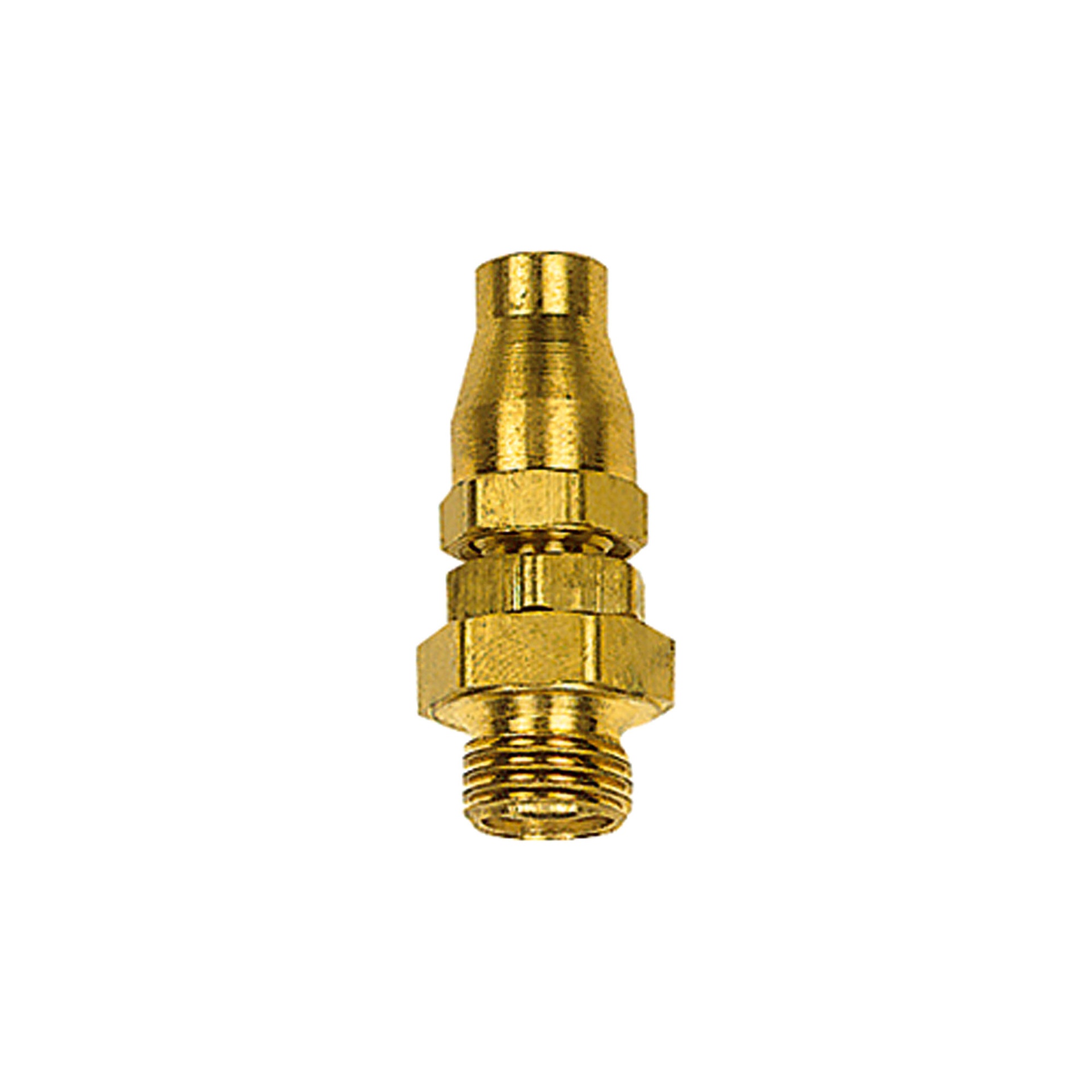 RIEGLER Rotating fitting, G 1/4, AF 17, Hose Ø 10x6.5
