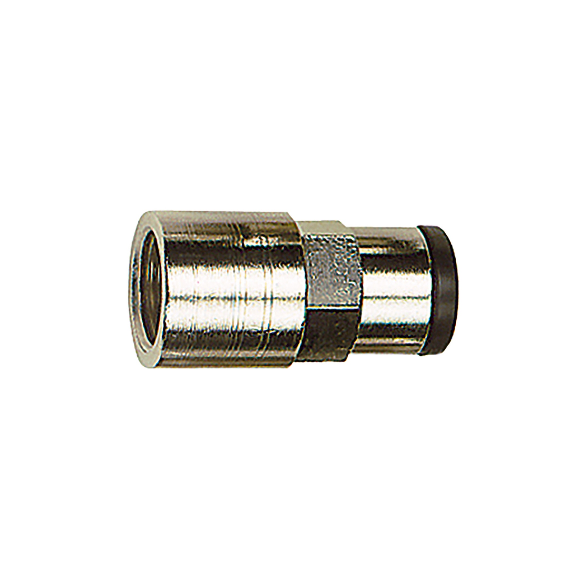 RIEGLER Straight push-in fitting »click-clock« G 1/8 i., hose exterior Ø5