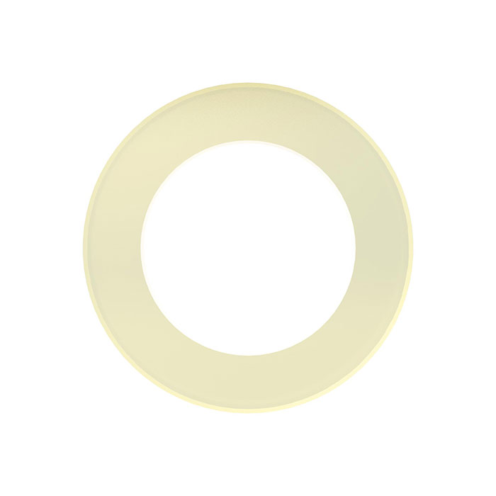 RIEGLER Connection seal made of PA for flange pressure controller 200 bar