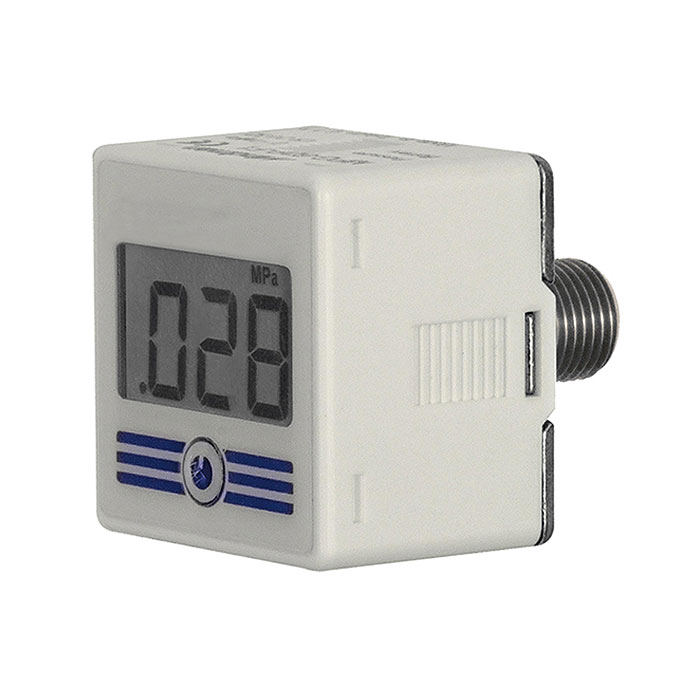 RIEGLER Digital-Manometer mit Hintergrundbeleuchtung, 0-10 bar, R 1/4 AG