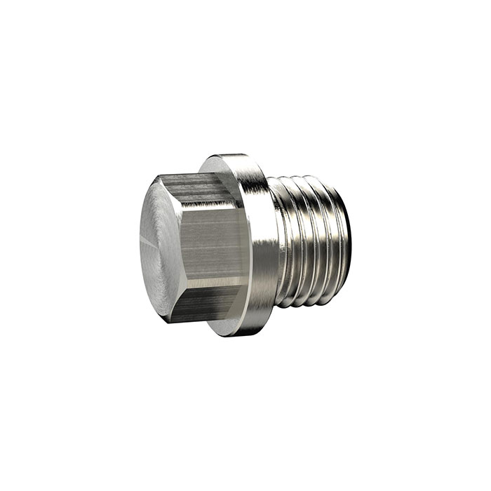 RIEGLER Locking screw, Exterior hexagonal, with collar G 1/4, AF 13
