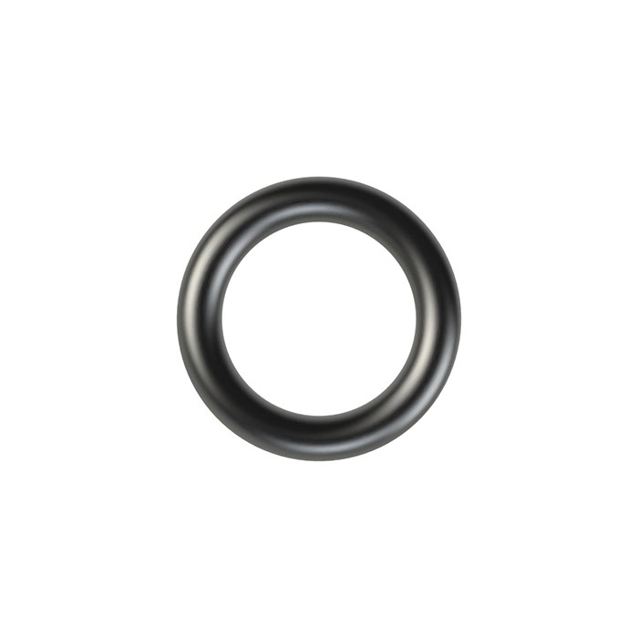 RIEGLER Replacement seal for flange pressure controller 300 bar