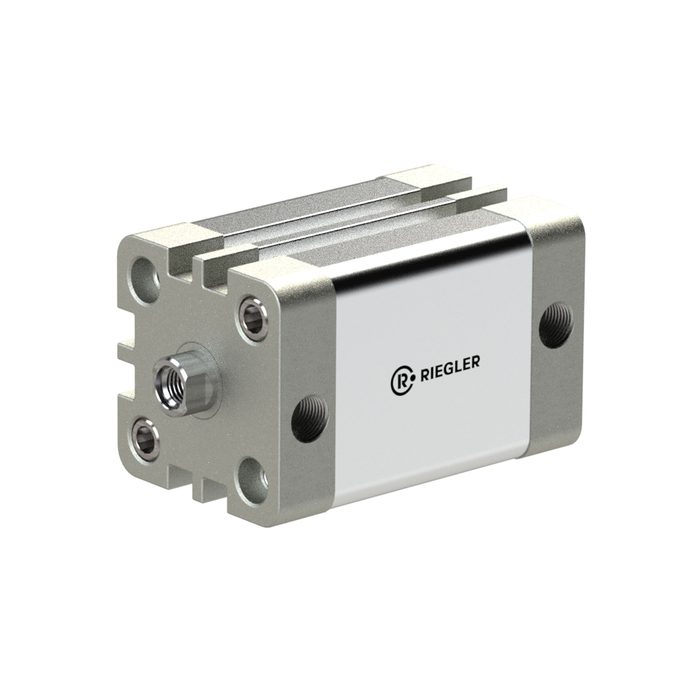 RIEGLER Comp.cyl., double-acting, Piston Ø 125, Stroke 100, G1/4,ISO21287