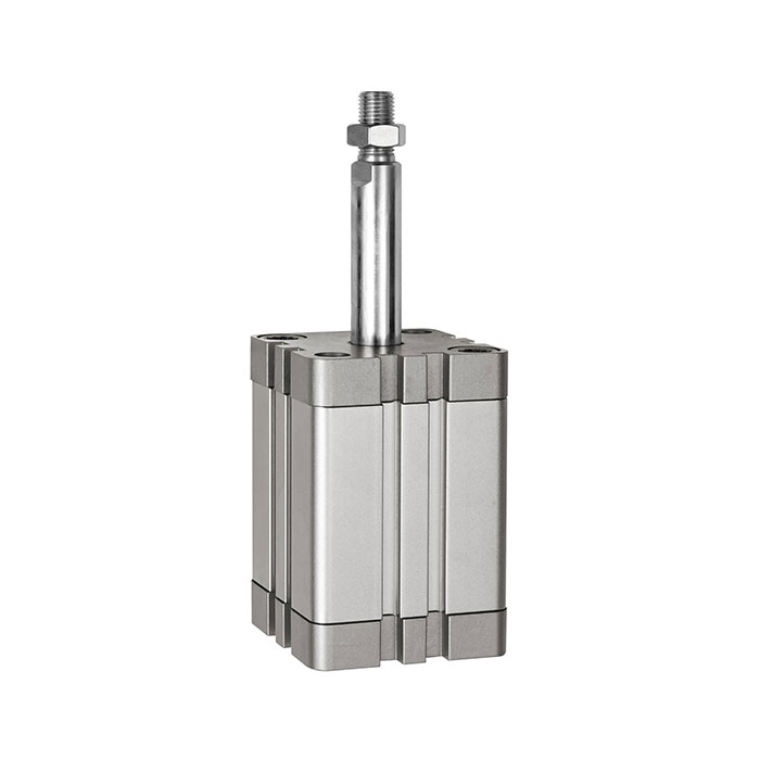 RIEGLER Kompaktzyl., einfachw., AG, ausgef., Ø100, Hub10, G1/8, ISO21287