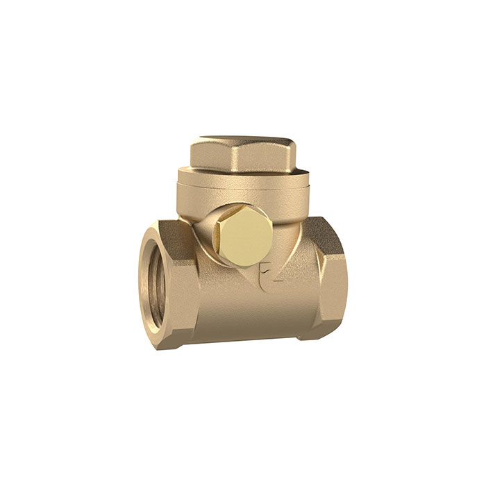 RIEGLER Check valve, DN 20, Brass, Soft sealed, G 3/4, PN max. 16 bar