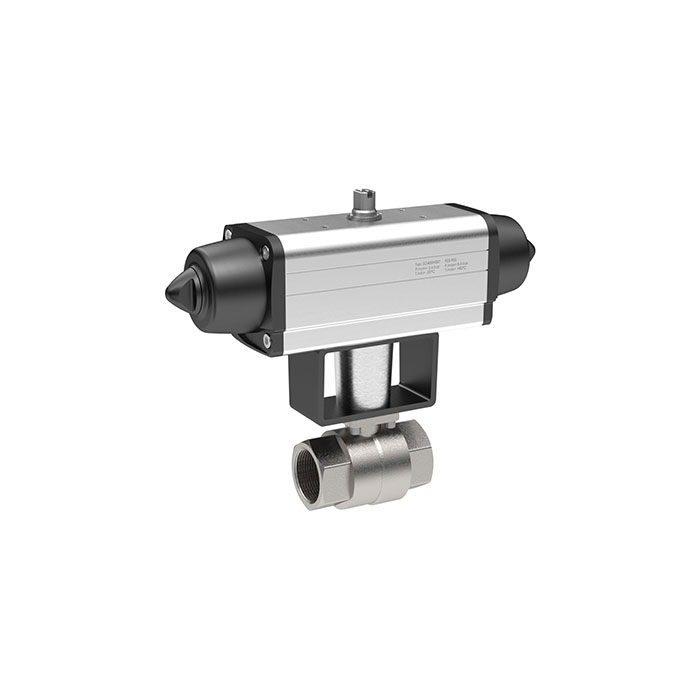 RIEGLER Stainless steel ball valve, Pneumatic actuation drive, Rp 1 1/4