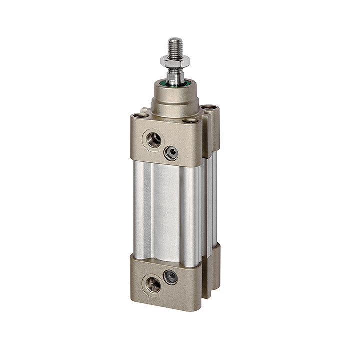 RIEGLER Standard cylinder, double-acting, Piston Ø 50, Stroke 175, G 1/4