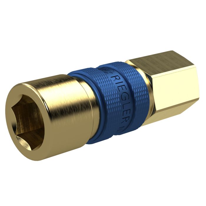 RIEGLER Unmistakable quick-release coupling NW 5, G 1/8 IG, blue