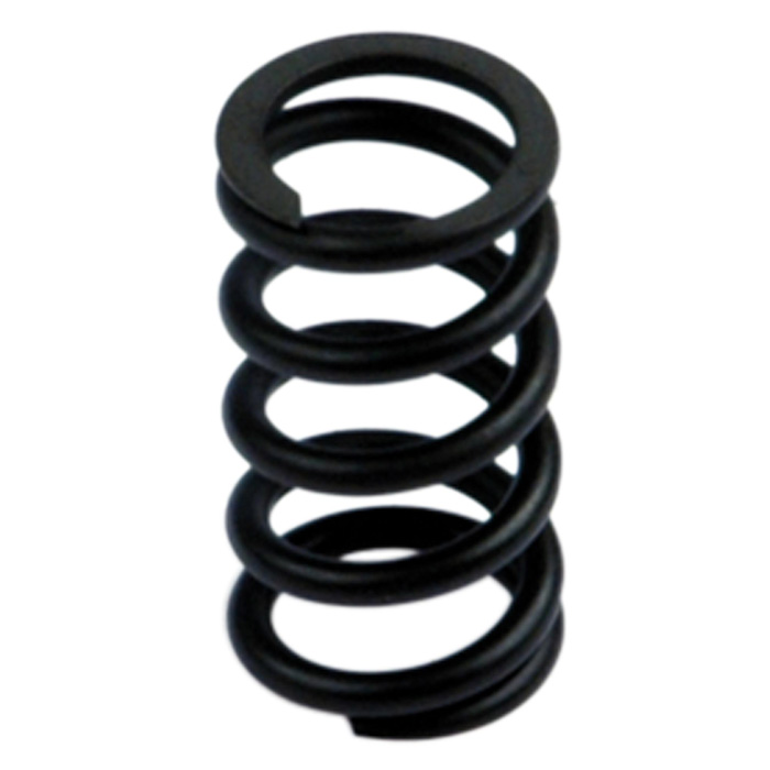 RIEGLER SYNTESI" spring, BG 2, 0 - 8 bar