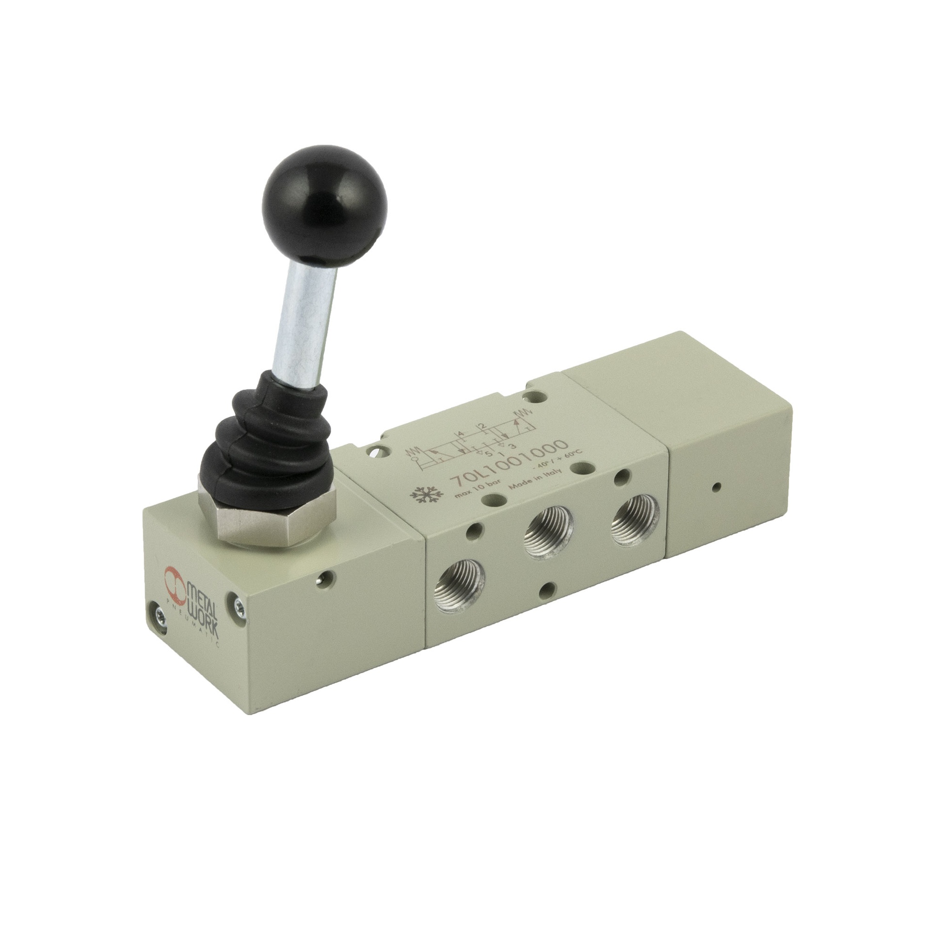 RIEGLER 5/3-way valve, low-temp., manual 90° lever, G 1/8, M. relieved, backflow preventer.