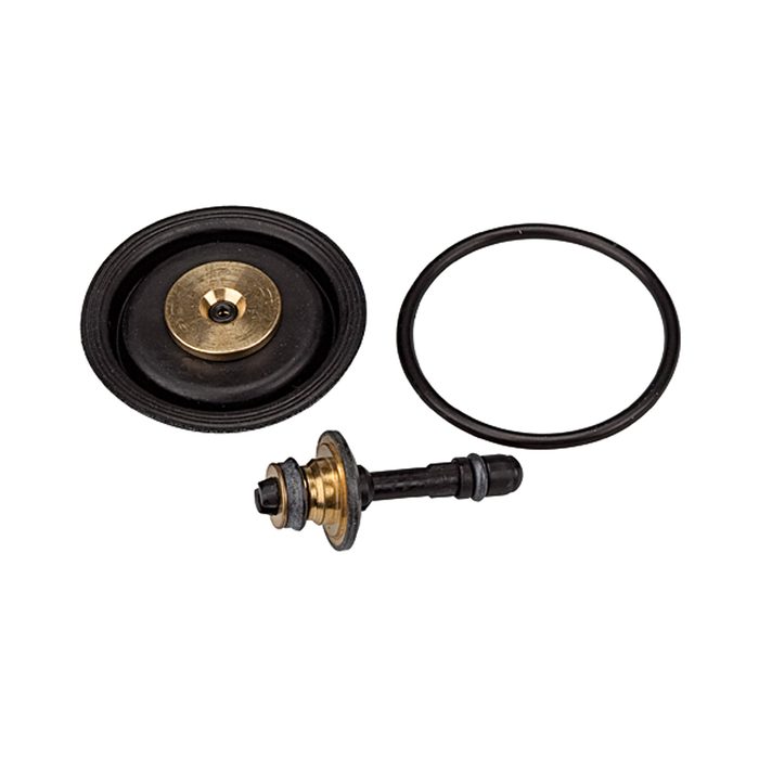 [100438] RIEGLER Wear part set incl. membrane, Valve cone and O-ring 30x2