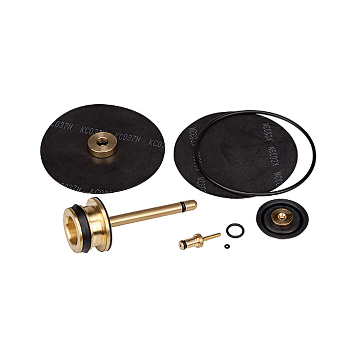 RIEGLER Verschleißteilesatz inkl. Membrane, Ventilkegel und O-Ring 81x2
