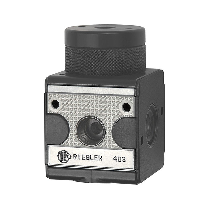 RIEGLER Pressure regulator pneumatic remote controlled »multifix«, G 1/4