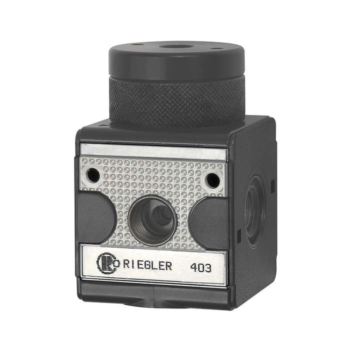 [100462] RIEGLER Druckregler pneumatisch ferngesteuert »multifix«, BG 1, G 1/4
