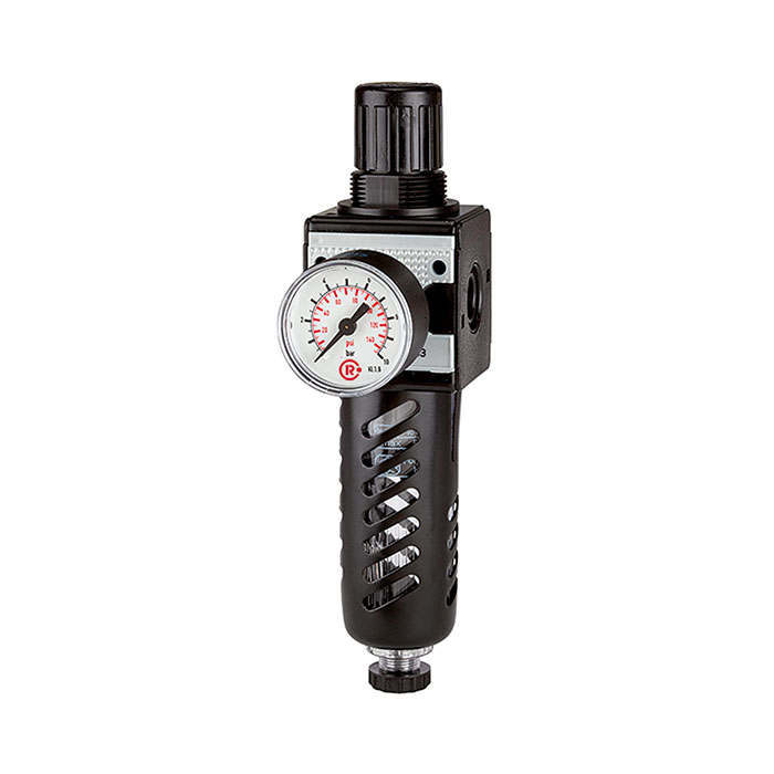 RIEGLER Filterregler »multifix«, mit PC-Behälter, Schutzkorb, BG 1, G 3/8