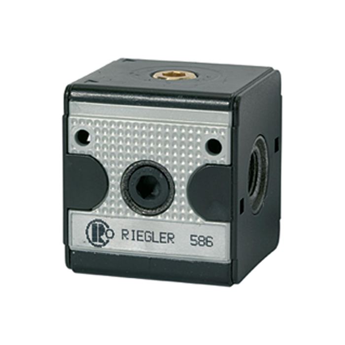 [100630] RIEGLER Check valve »multifix«, Size 1, G 1/4