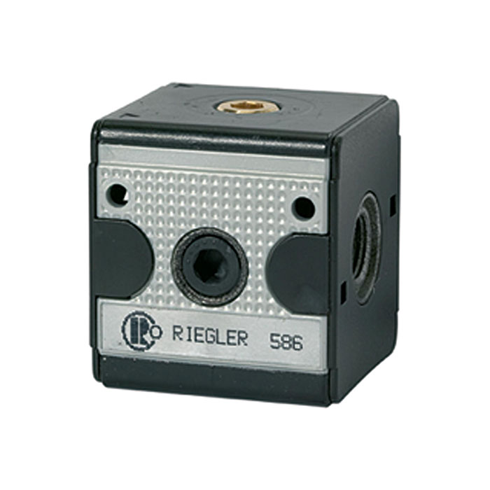 [100630] RIEGLER Check valve »multifix«, Size 1, G 1/4