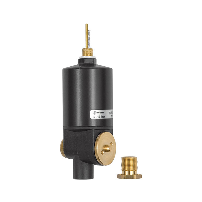 [100677] RIEGLER Vollautomatisches Ablassventil inkl. Adapter G 1/8 i. x M14x1