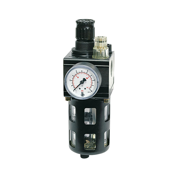 RIEGLER Combi-service unit, Protective cage, Size 1, G 1/4, 0.5 - 10 bar