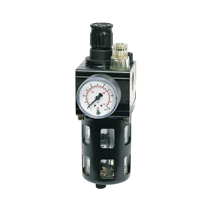 [101102] RIEGLER Combi-service unit, Protective cage, Size 1, G 1/2, 0.5 - 10 bar