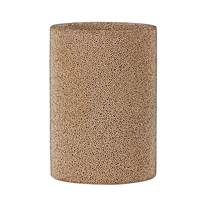 RIEGLER Filtereinsatz, 40 µm, Sinterbronce