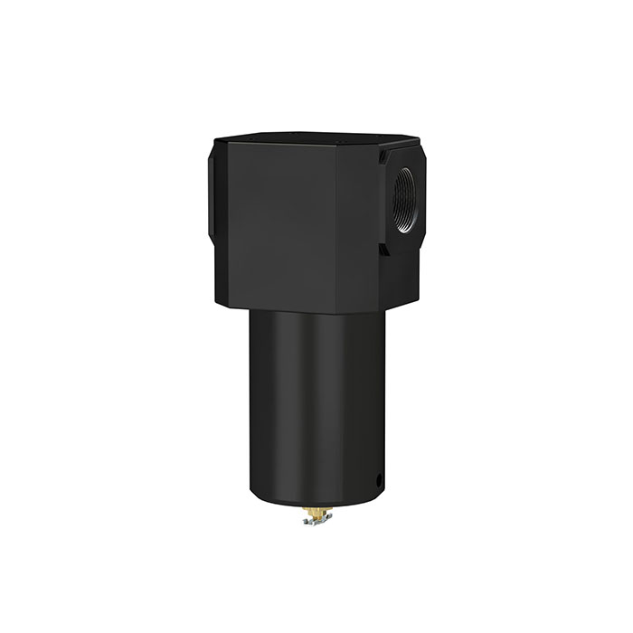 RIEGLER Filter für hohe Drücke bis 40 bar, mit Handablassventil, G 1 1/2
