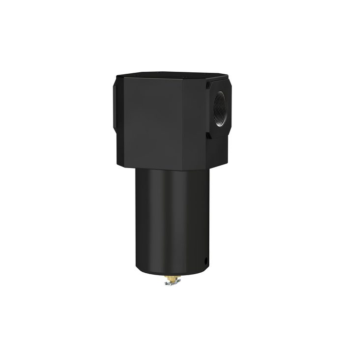 [101165] RIEGLER Filter für hohe Drücke bis 40 bar, mit Handablassventil, G 2