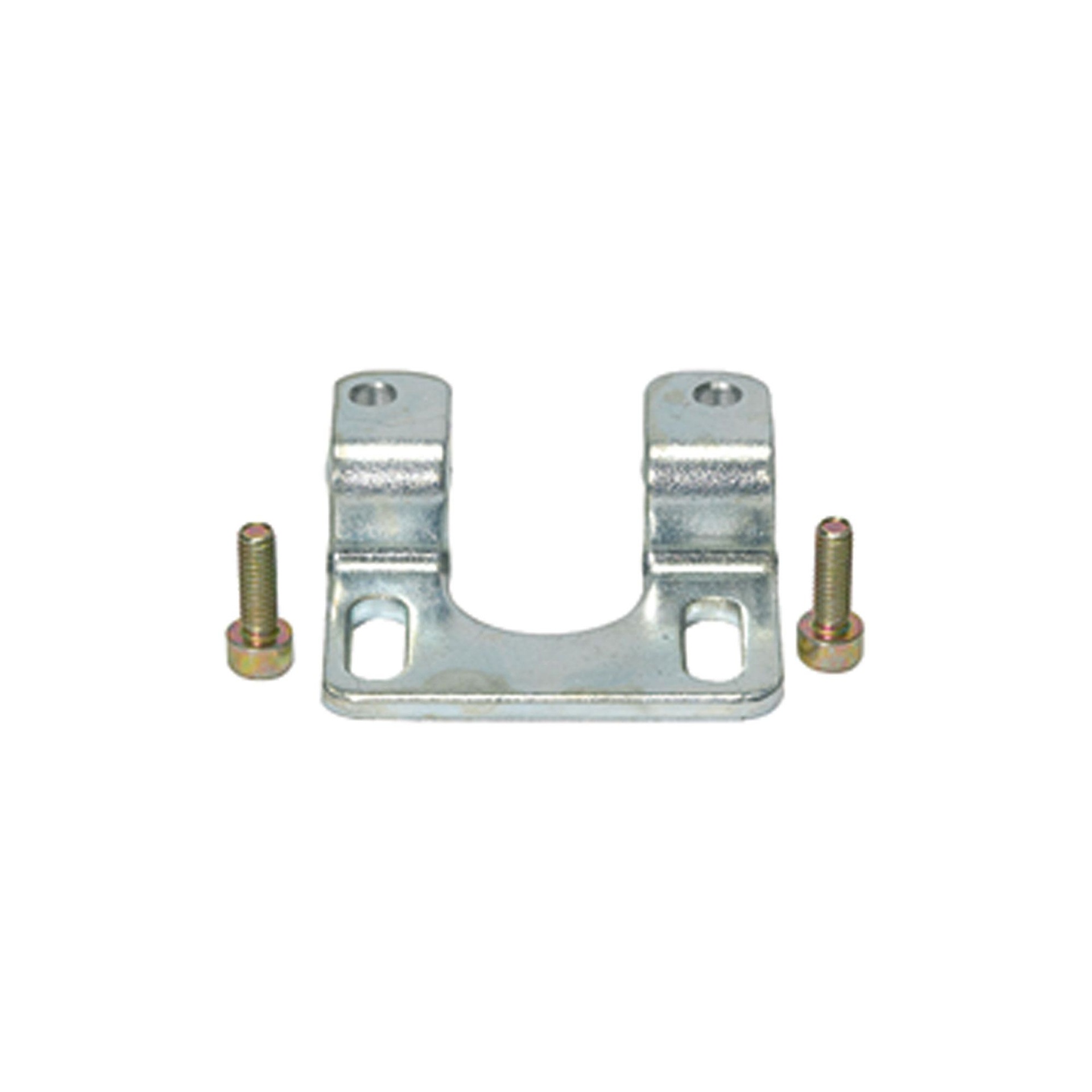 RIEGLER Mounting bracket with 2 screws