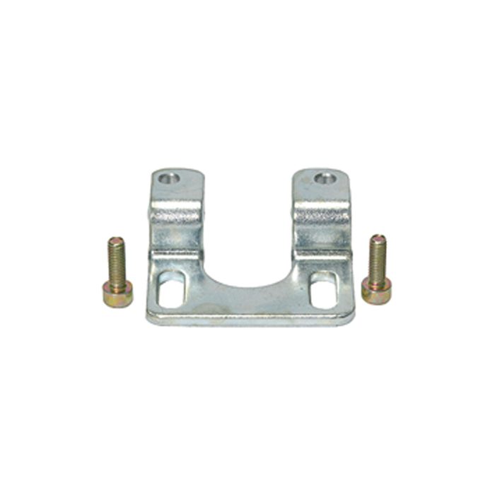 [101166] RIEGLER Mounting bracket with 2 screws