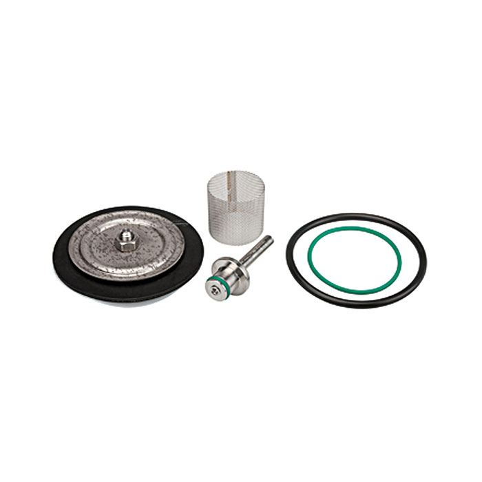 RIEGLER Verschleißteilesatz mit PTFE-Membrane, G 1/4