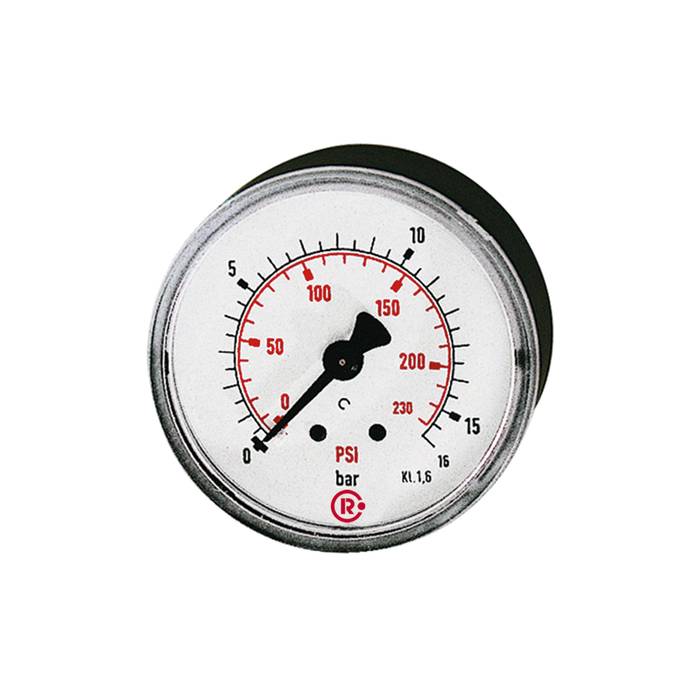 [101223] RIEGLER Standard pressure gauge, rear centric, G 1/4, 0 - 4 bar/58 psi