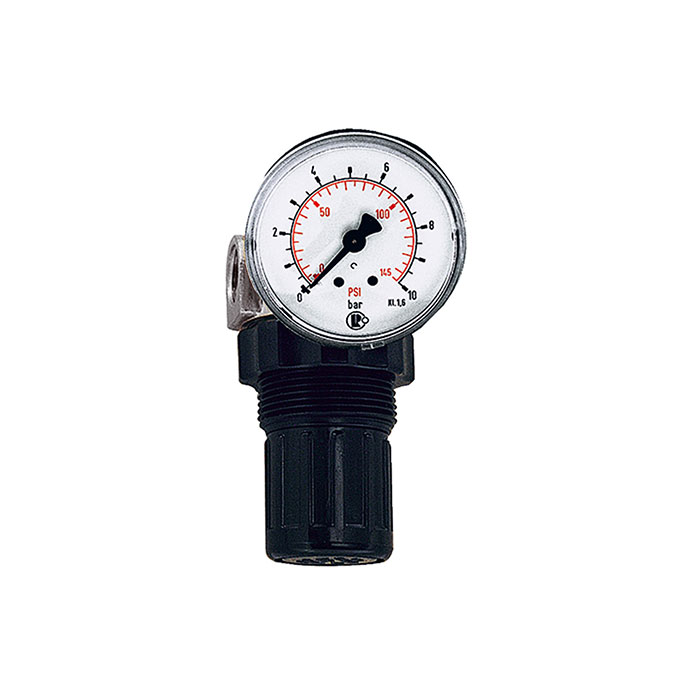 RIEGLER Pressure regulator for water, pressure gauge, G 1/4, 0.1 - 3 bar